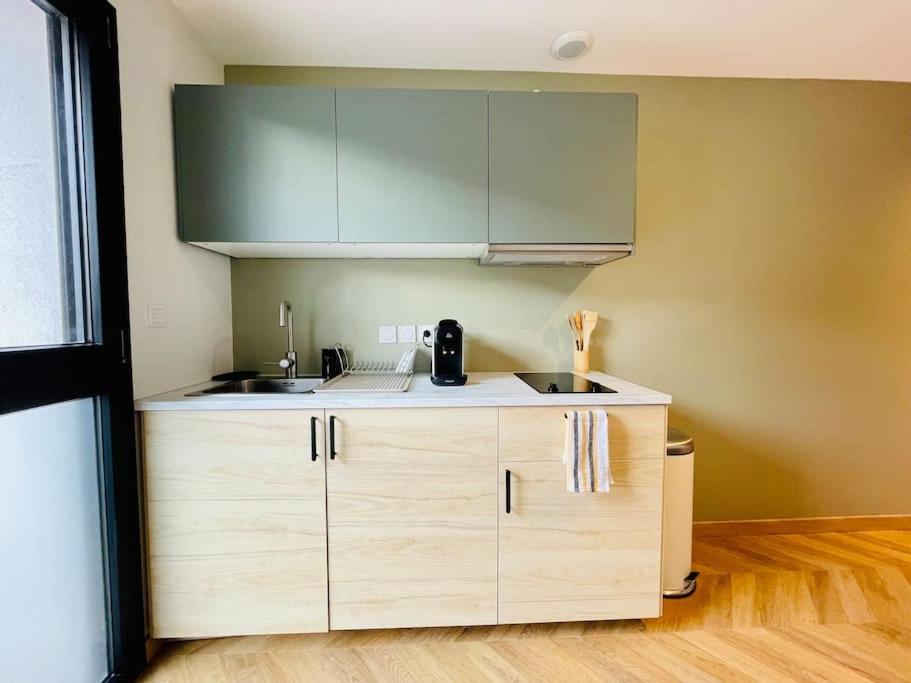 Apartamento Le Flachet - Climatisation - Wifi Villeurbanne Exterior foto